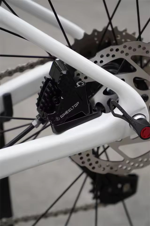 R15pro EDS-28S Electronic Carbon Bike – Disc Brakes